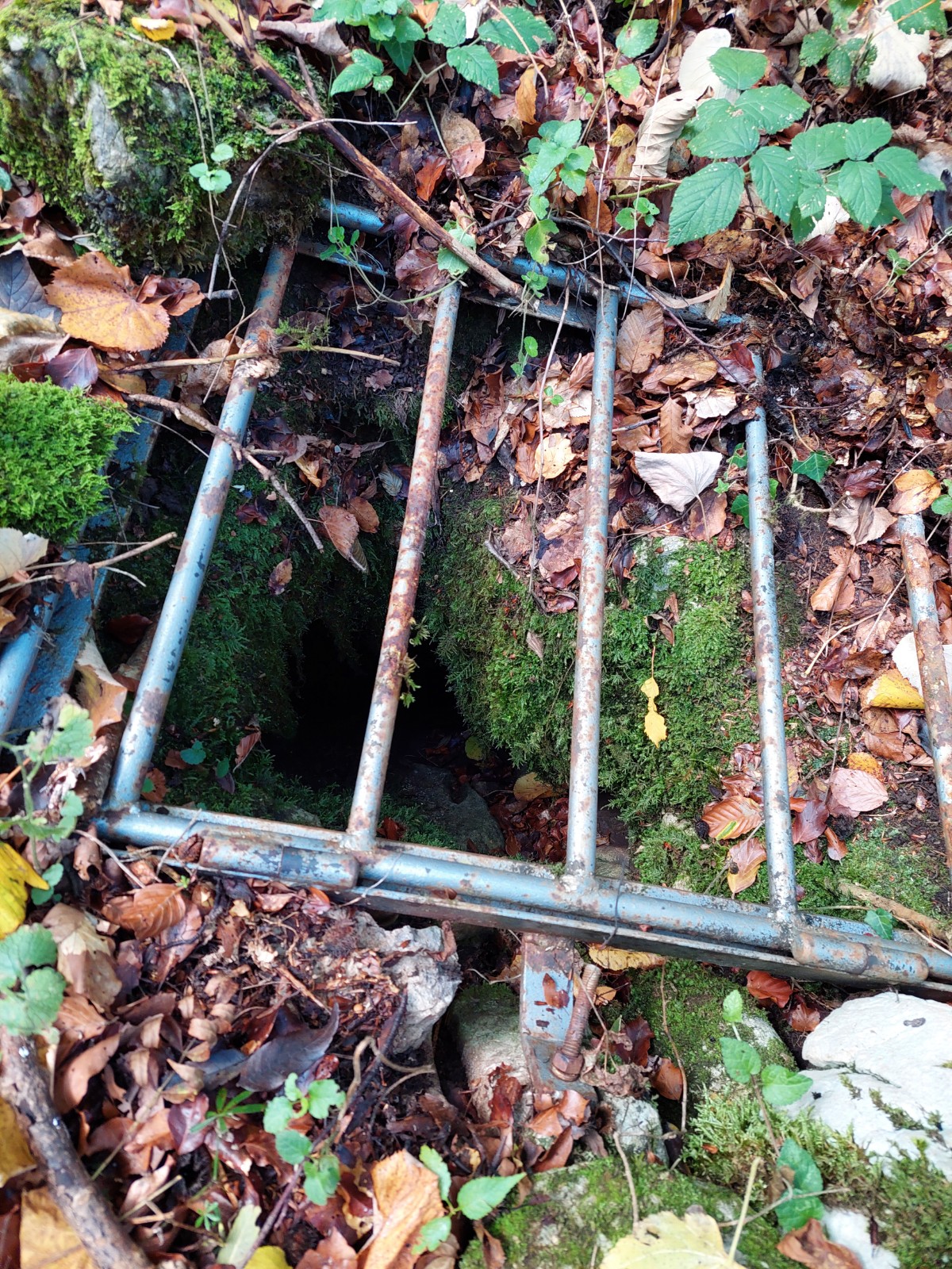 Avenul Necunoscut - Foto: Ghita Iancu